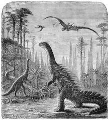 Dinosaurs, Stegosaurus and Compsognathus in an Araucaria landsca © Morphart