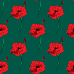 Illustration of alone red poppy. Seamless pattern.