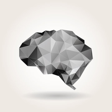 gray brain