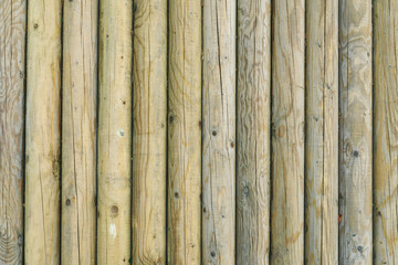 Wood logs texture background
