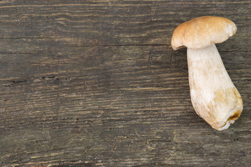 Boletus edulis on a rustic old wood background. Raw seasonal, fr