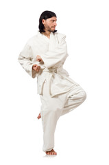 Karate fighter isolated on white
