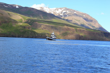 Eichenboot zur Walbeobachtung vor der Küste von Island bei Akureyri