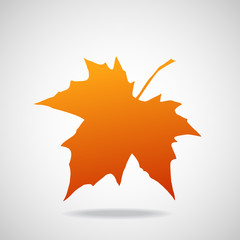 Silhouette of the maple leaf. Canadian symbol. Vector illustration. Eps 10