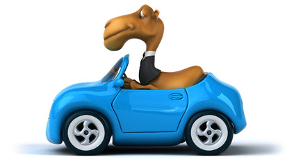 Obraz premium Fun camel