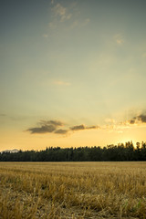 Beautiful nature - harvested wheat field under majestic evening