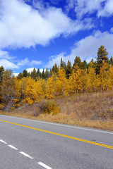 Naklejka premium Autumn colors, Grand Teton National Park showing Aspen trees with golden yellow foliage, Wyoming, America