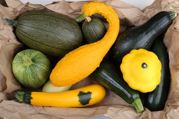 Squashes  and zucchini