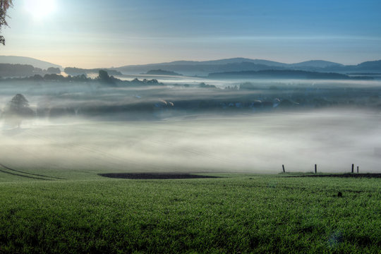 Fototapeta Morgennebel am Keulenberg