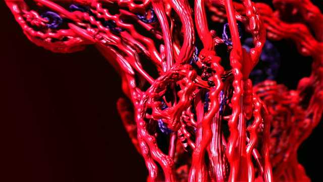 Fractal virtual biologic world animated 3D