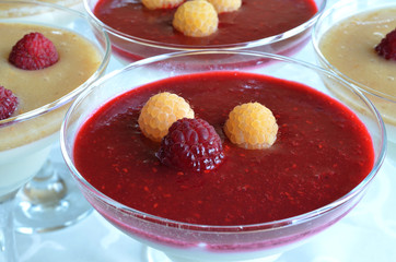 Appetizing and colorful panna cotta in glasses
