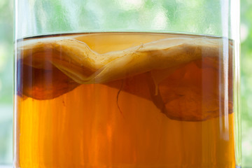 Natural kombucha fermented tea beverage healthy organic drink in