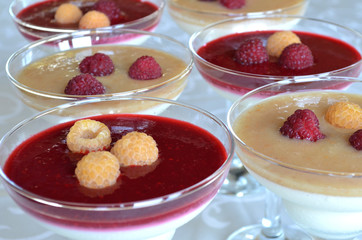Appetizing and colorful panna cotta in glasses
