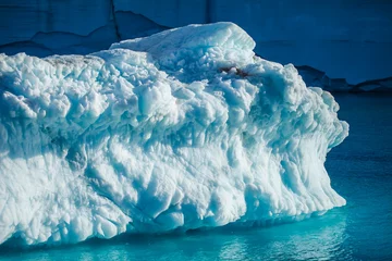 Gartenposter schöner Eisberg in der Arktis als Hintergrund © ksumano