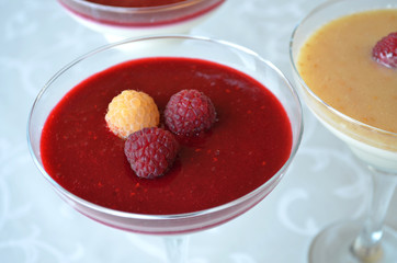 Appetizing and colorful panna cotta in glasses