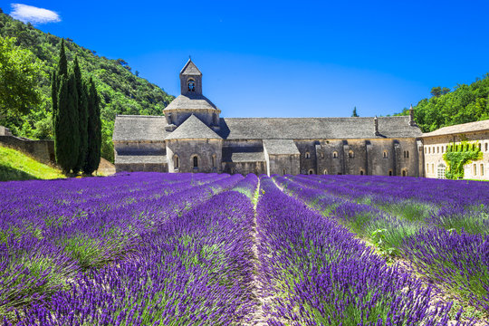 Fototapeta Provence - abbey of Senanque with blooming lavander.France