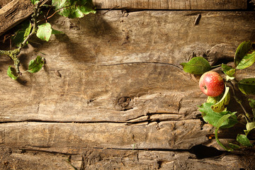 Autumn apple on a rustic wood background