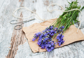 lavender flowers