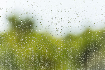 Rain water drops on a window glass
