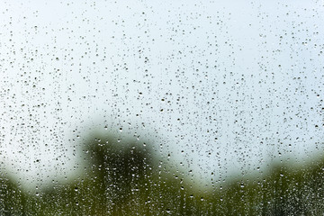 Rain water drops on a window glass