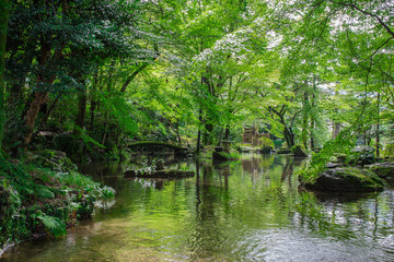 岐阜県　金華山　岐阜公園　Kinkazan Gifu park in Gifu prefecture 