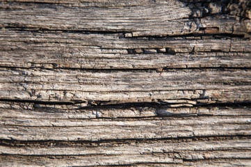 Fototapeta premium Wooden texture close up photo , nice background or texture