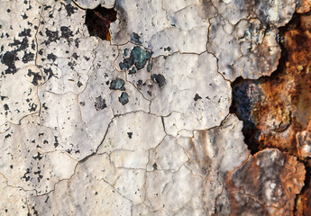 Grunge retro rusty metal texture or background