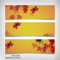 Set of colorful autumn leaves banners