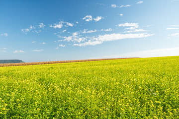 Obraz premium Schöne Landschaft 