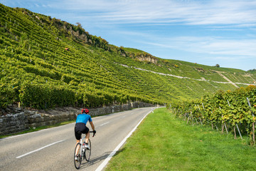 Naklejka premium Radfahren im Neckartal bei Mundelsheim