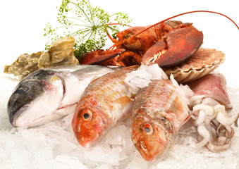 Fisch und Meeresfrüchte
