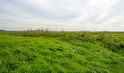 Tracks through a cloudy field in autumn