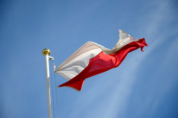 Polish flag in the wind