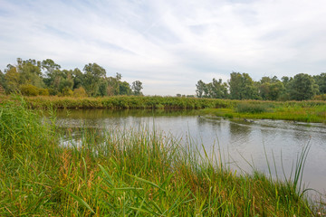 Shore of a lake below a cloudy sky in autumn
