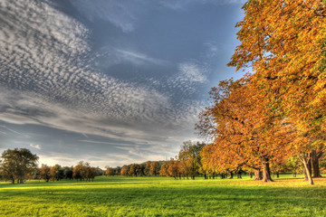 Herbst im Park