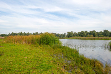 Shore of a lake below a cloudy sky in autumn
