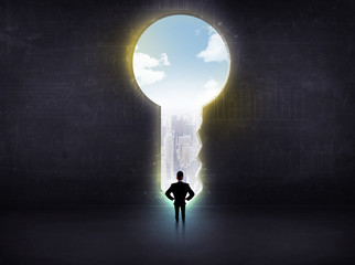 Obraz premium businessman looking a big key