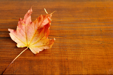 Naklejka na ściany i meble Autumn leaf over wooden background. With copy space