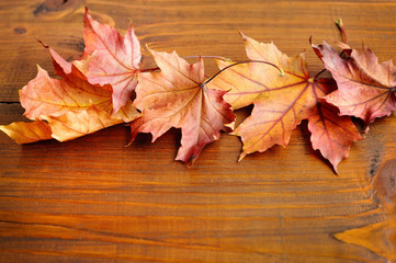 Autumn leaves over old wooden background. With copy space