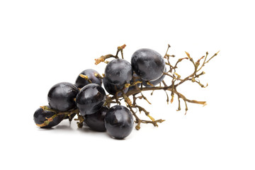 Grapes on the white background