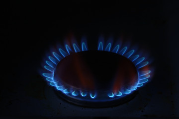 burner gas cooker
