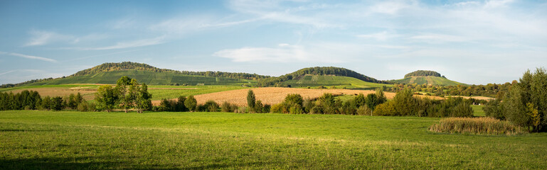 Fototapeta premium Bottwartaler Weinberge 