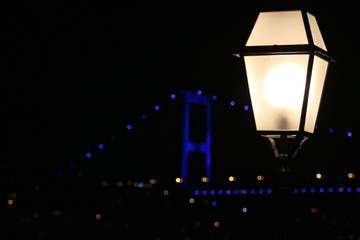 Fototapeta na wymiar Bosporus by night