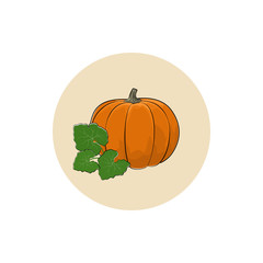 Icon of a Ripe Orange Pumpkin