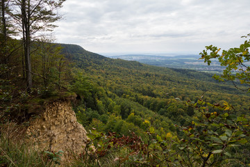 Fototapeta premium Herbstwald am Mössinger Bergrutsch