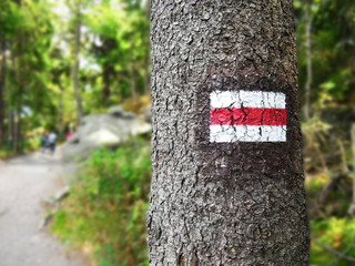 red sign painted on a tree on the mountain road