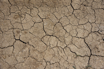 cracked clay ground at summer season