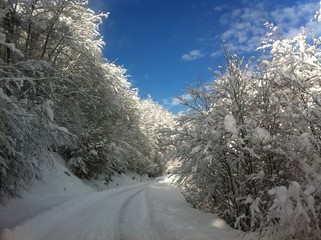 Snowy road