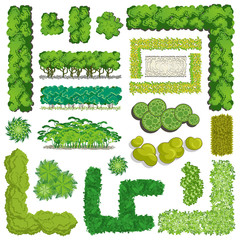 Trees and bush item top view \ top side for landscape design, vector icon