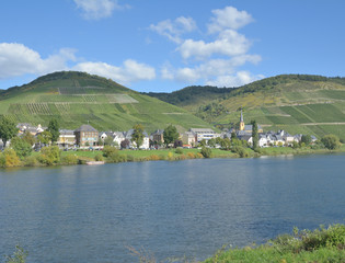 Obraz premium Weinort Zeltingen-Rachtig an der Mosel,Rheinland-Pfalz,Deutschland